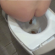 An Italian girl takes a shit and piss while sitting on a toilet. Poop action can be clearly seen from a rear angle. She wipes her ass and shows us her dirty TP. Presented in 720P HD. About 6.5 minutes.